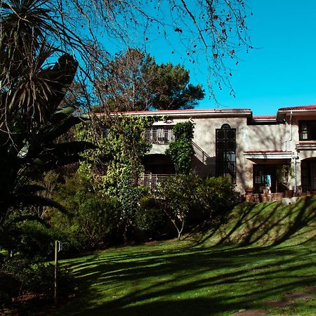Southern Light Country House Kaapstad Buitenkant foto