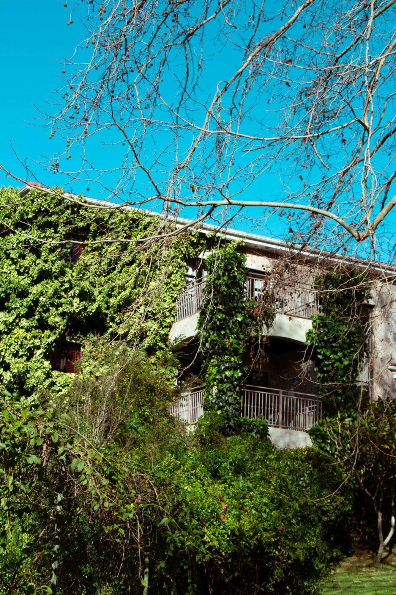 Southern Light Country House Kaapstad Buitenkant foto